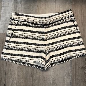 Ann Taylor LOFT Riviera Shorts
